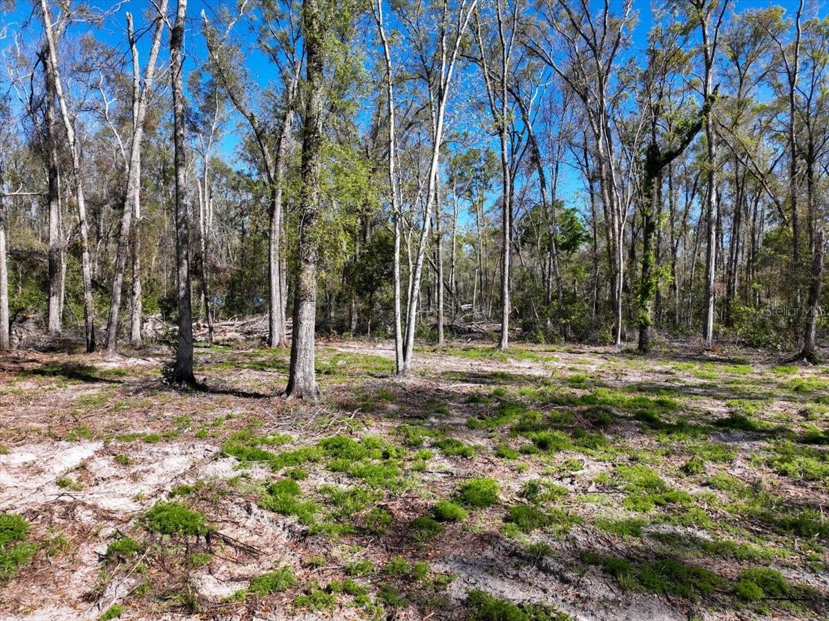 000 NE 575TH ST, OLD TOWN, FL, 32680