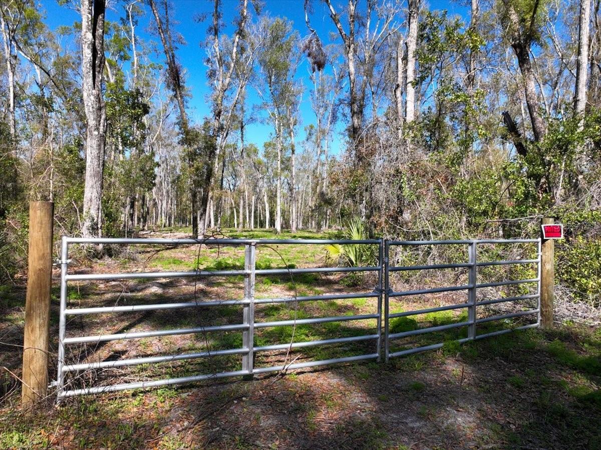 000 NE 575TH ST, OLD TOWN, FL, 32680