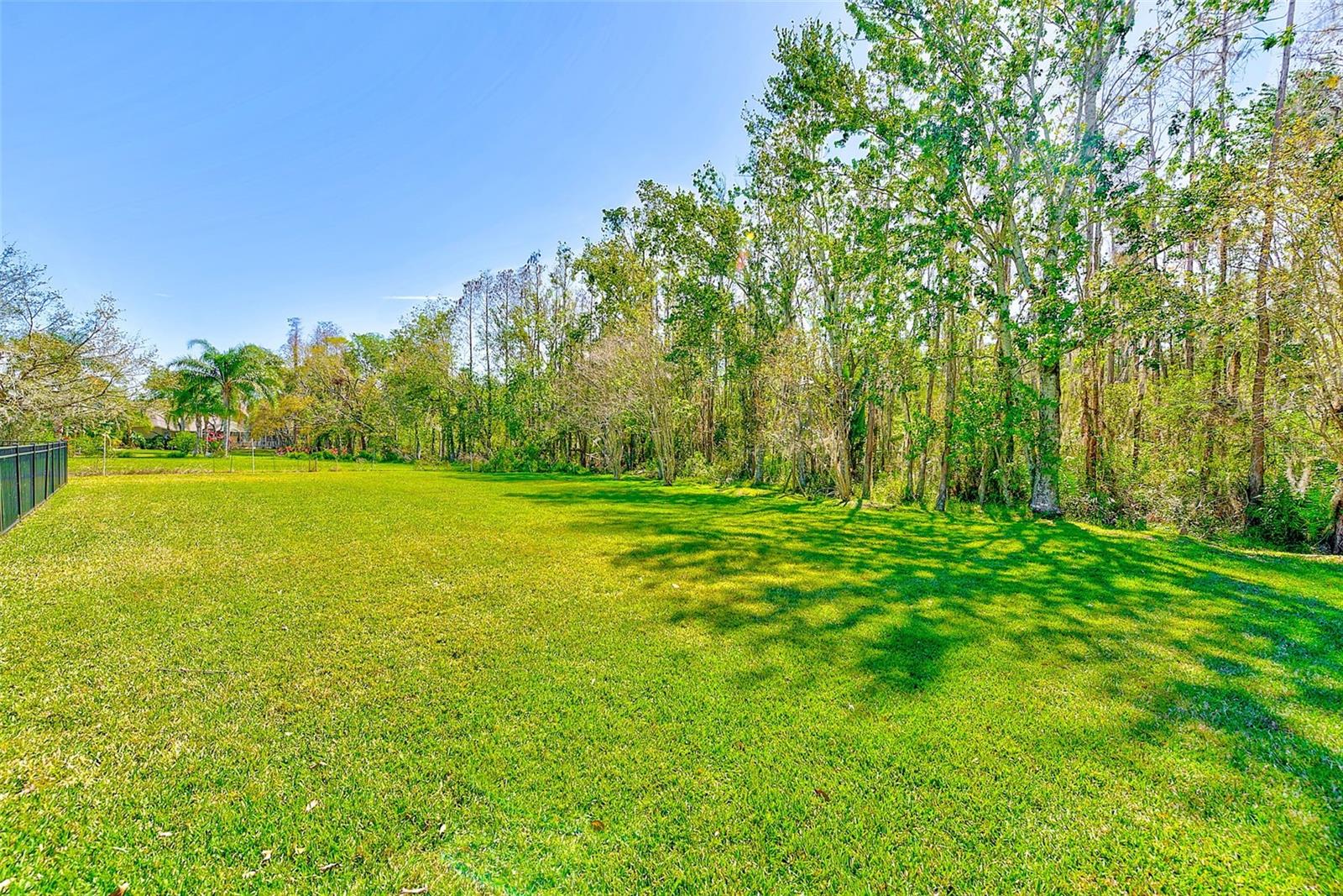 10708 CORY LAKE DR, TAMPA, FL, 33647