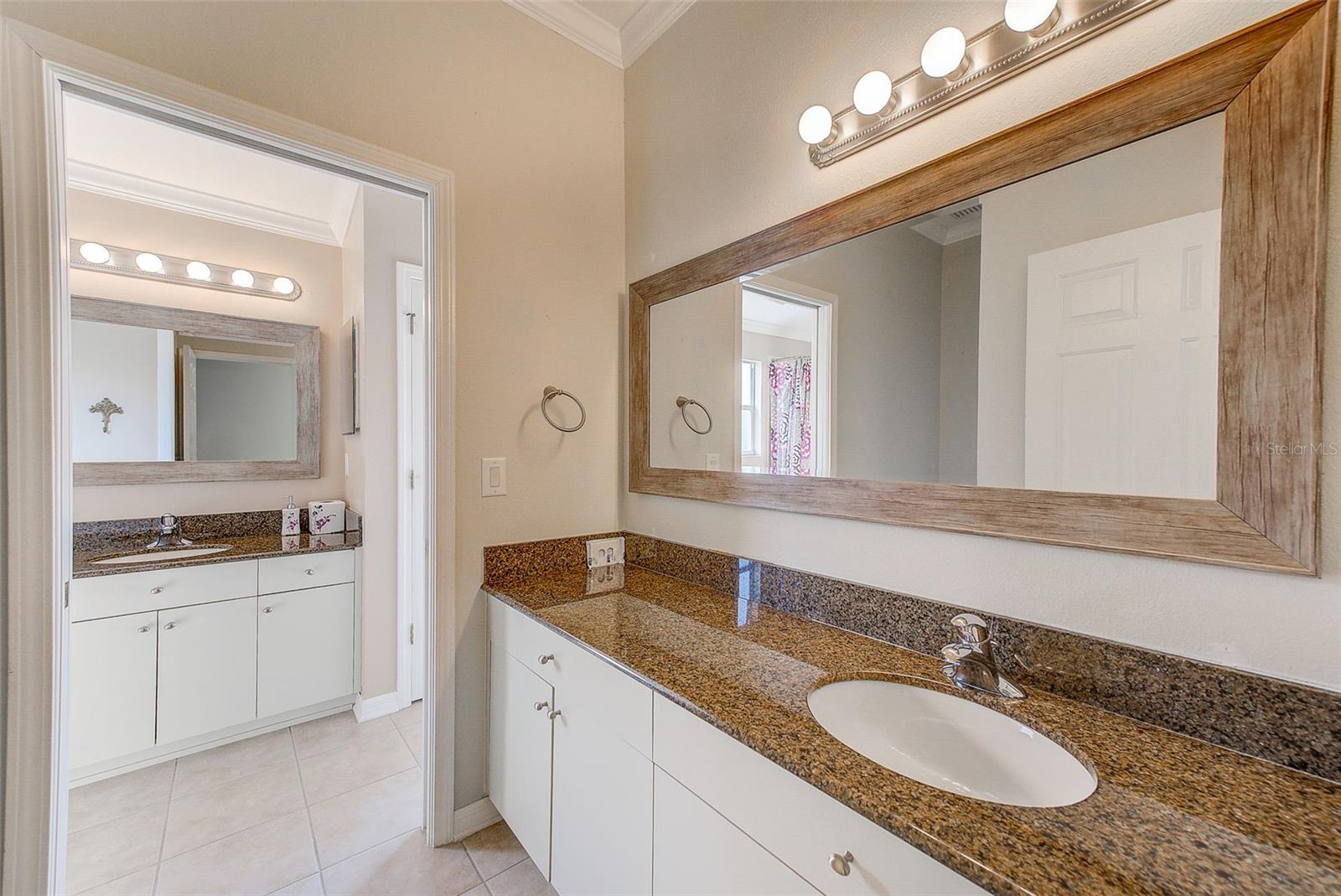 10708 CORY LAKE DR, TAMPA, FL, 33647