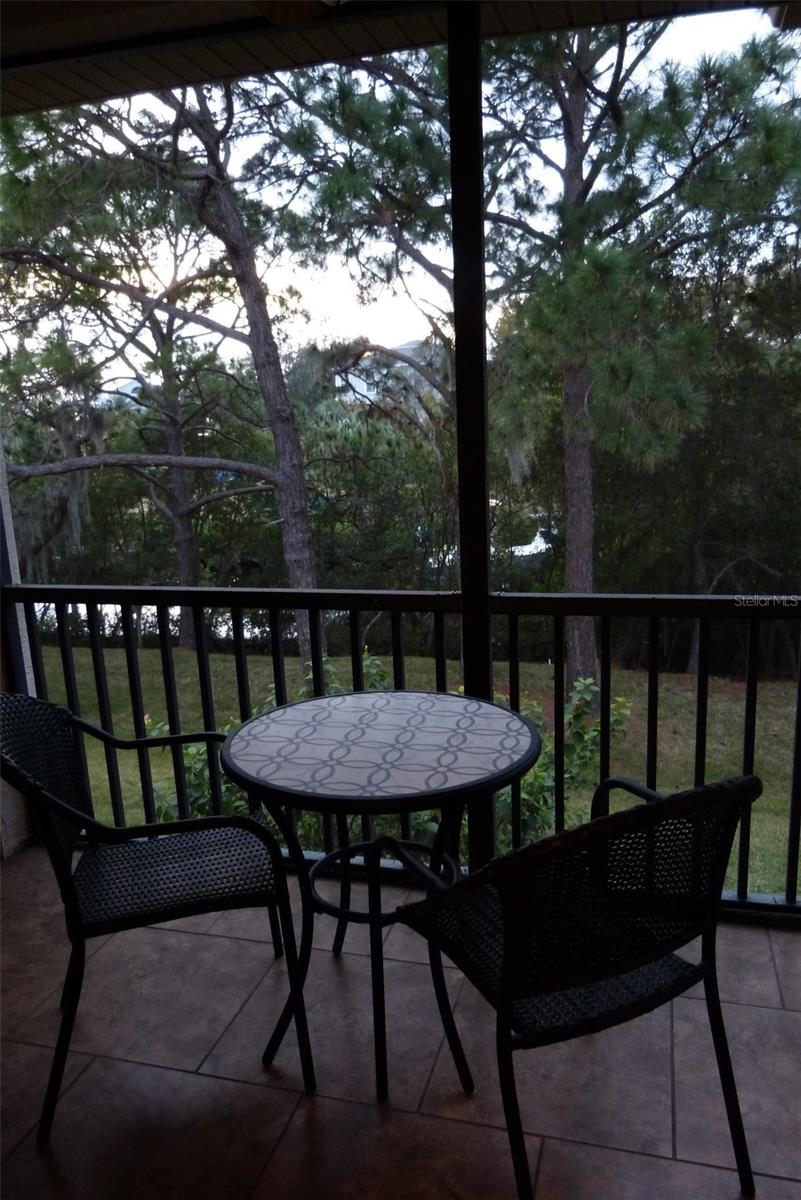 1610 SEASCAPE CIR #1610, TARPON SPRINGS, FL, 34689