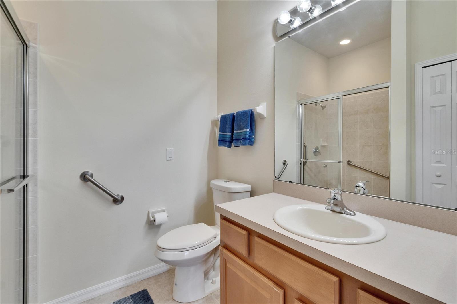 178 SHELL FALLS DR, APOLLO BEACH, FL, 33572