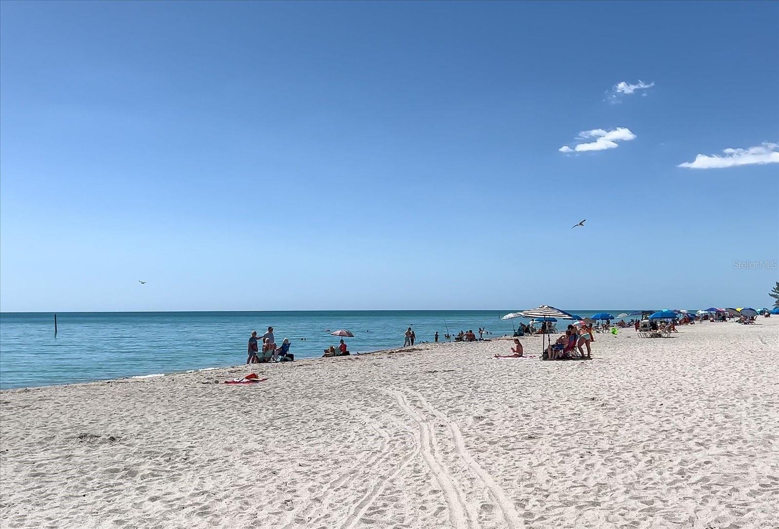 1785 BAYSHORE DR, ENGLEWOOD, FL, 34223