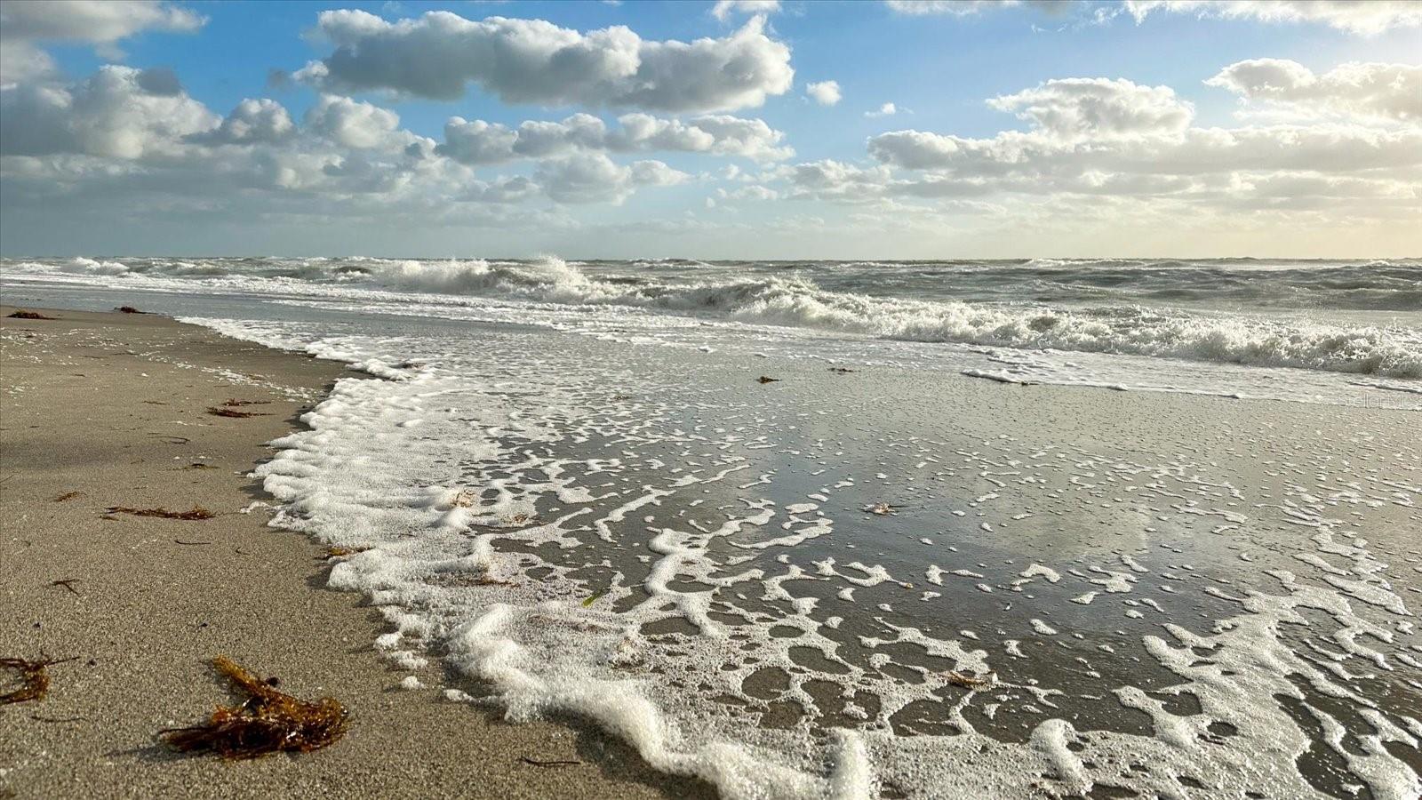 1785 BAYSHORE DR, ENGLEWOOD, FL, 34223