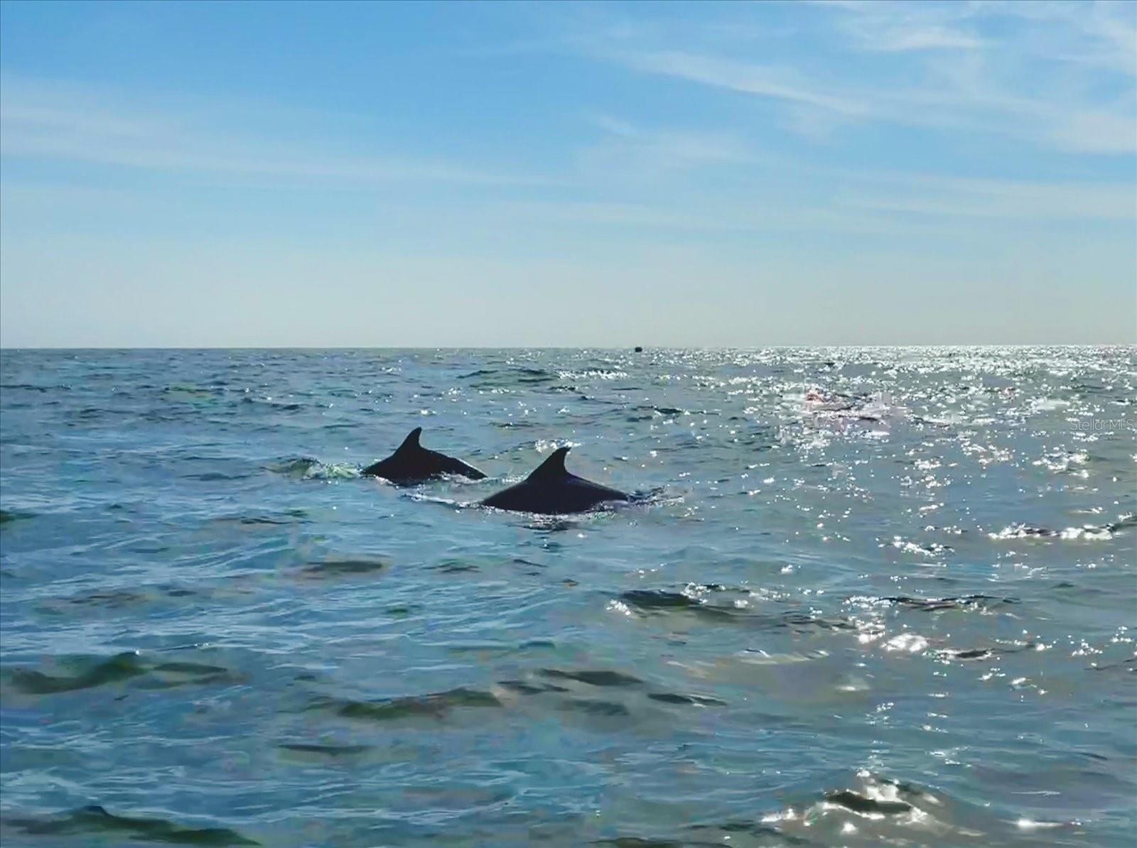 1785 BAYSHORE DR, ENGLEWOOD, FL, 34223