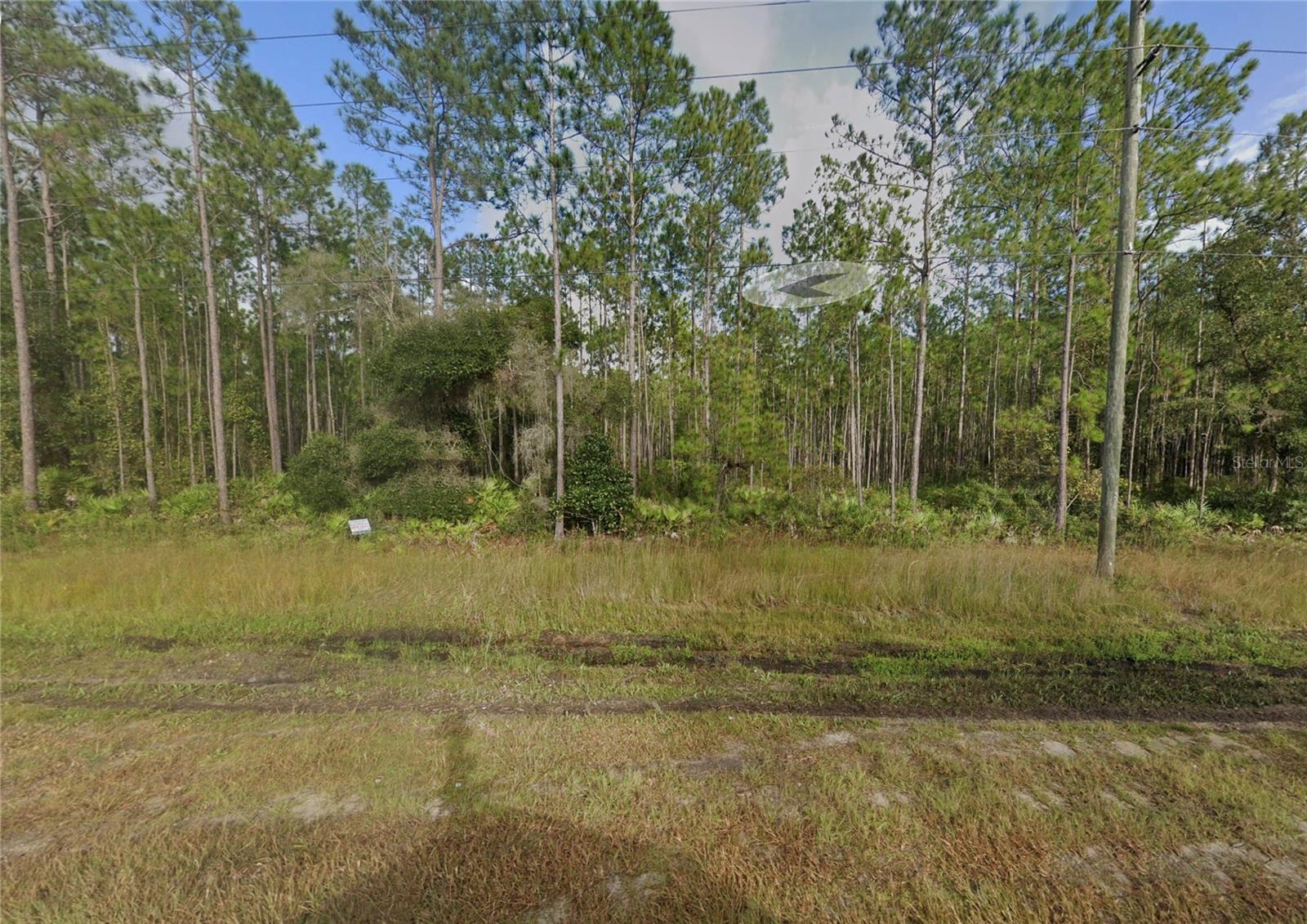 COUNTY ROAD 315, INTERLACHEN, FL, 32148