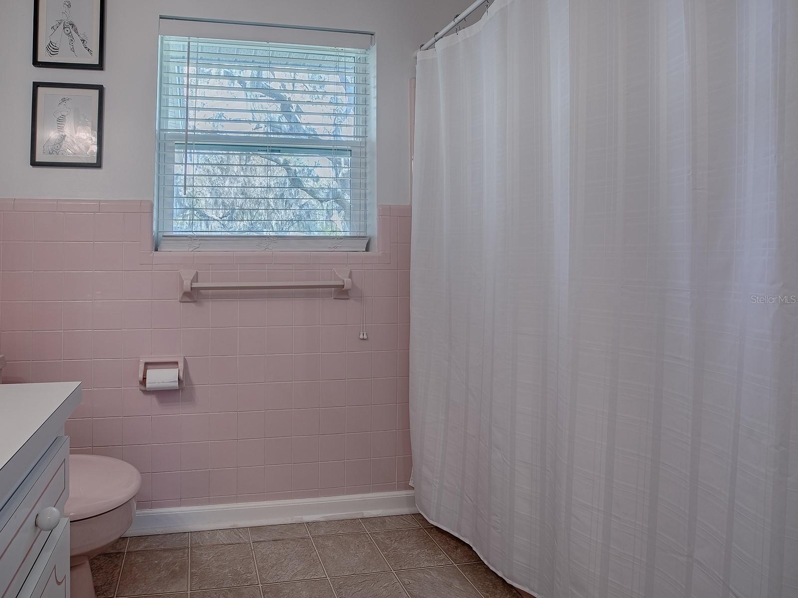 481 BELLE AYRE DR, MOUNT DORA, FL, 32757