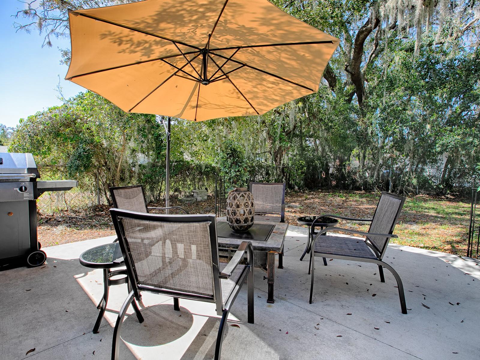 481 BELLE AYRE DR, MOUNT DORA, FL, 32757