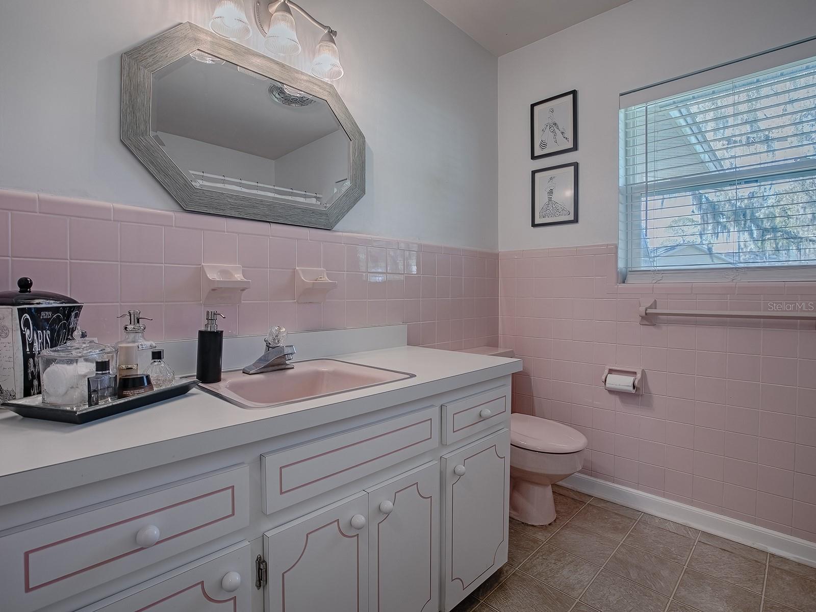 481 BELLE AYRE DR, MOUNT DORA, FL, 32757