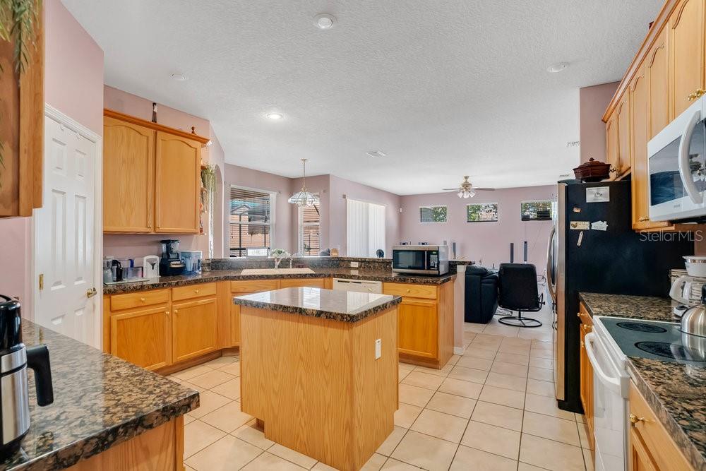 2509 CHAPALA DR, KISSIMMEE, FL, 34746