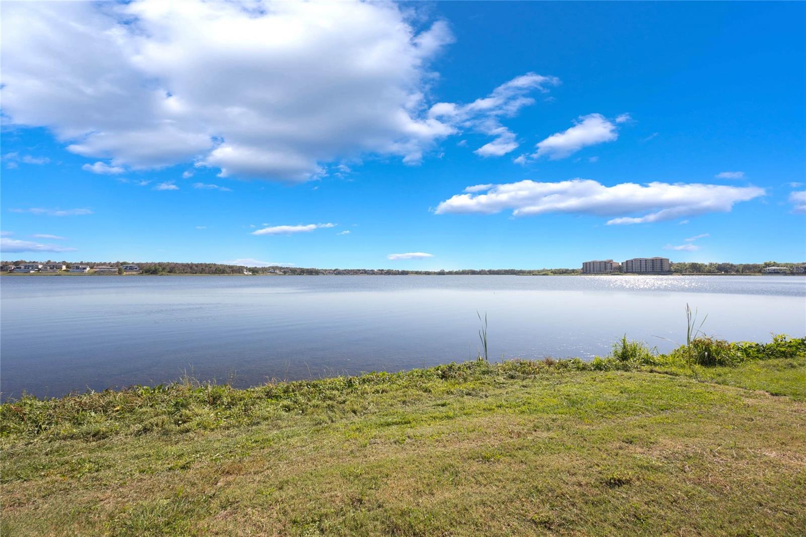 16728 BOLSENA DR, BELLA COLLINA, FL, 34756