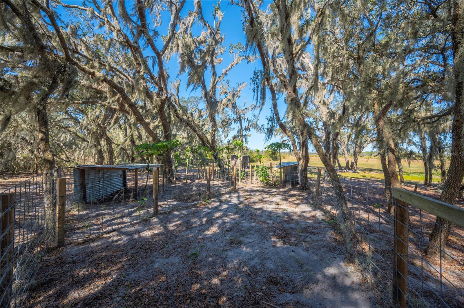 4900 J JACKSON RD, FORT MEADE, FL, 33841