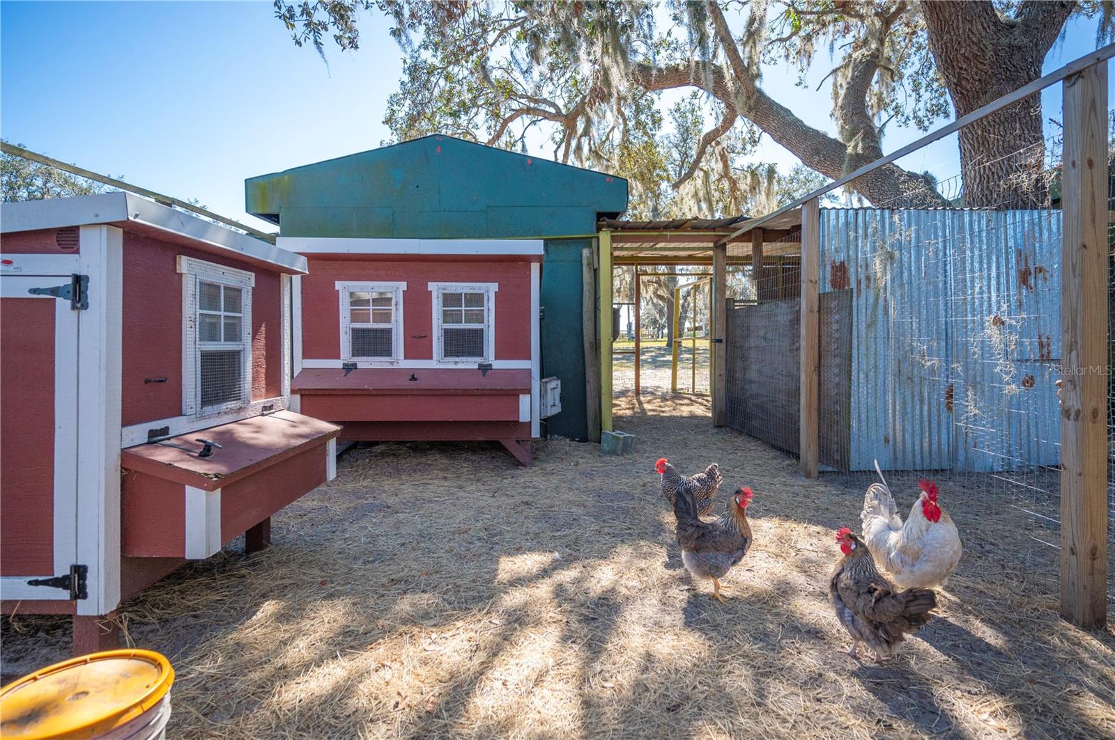 4900 J JACKSON RD, FORT MEADE, FL, 33841