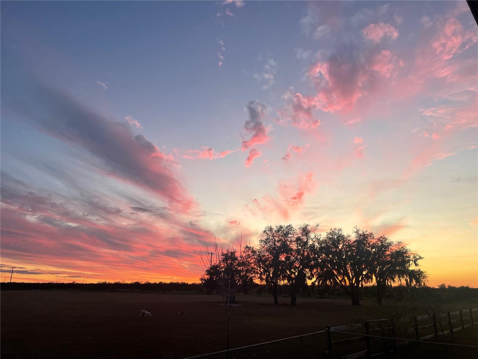 4900 J JACKSON RD, FORT MEADE, FL, 33841