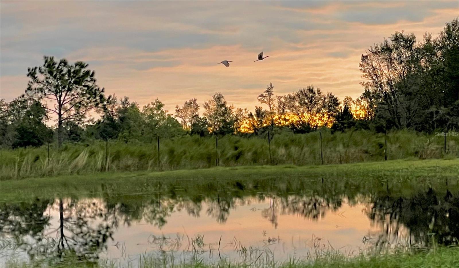 4900 J JACKSON RD, FORT MEADE, FL, 33841