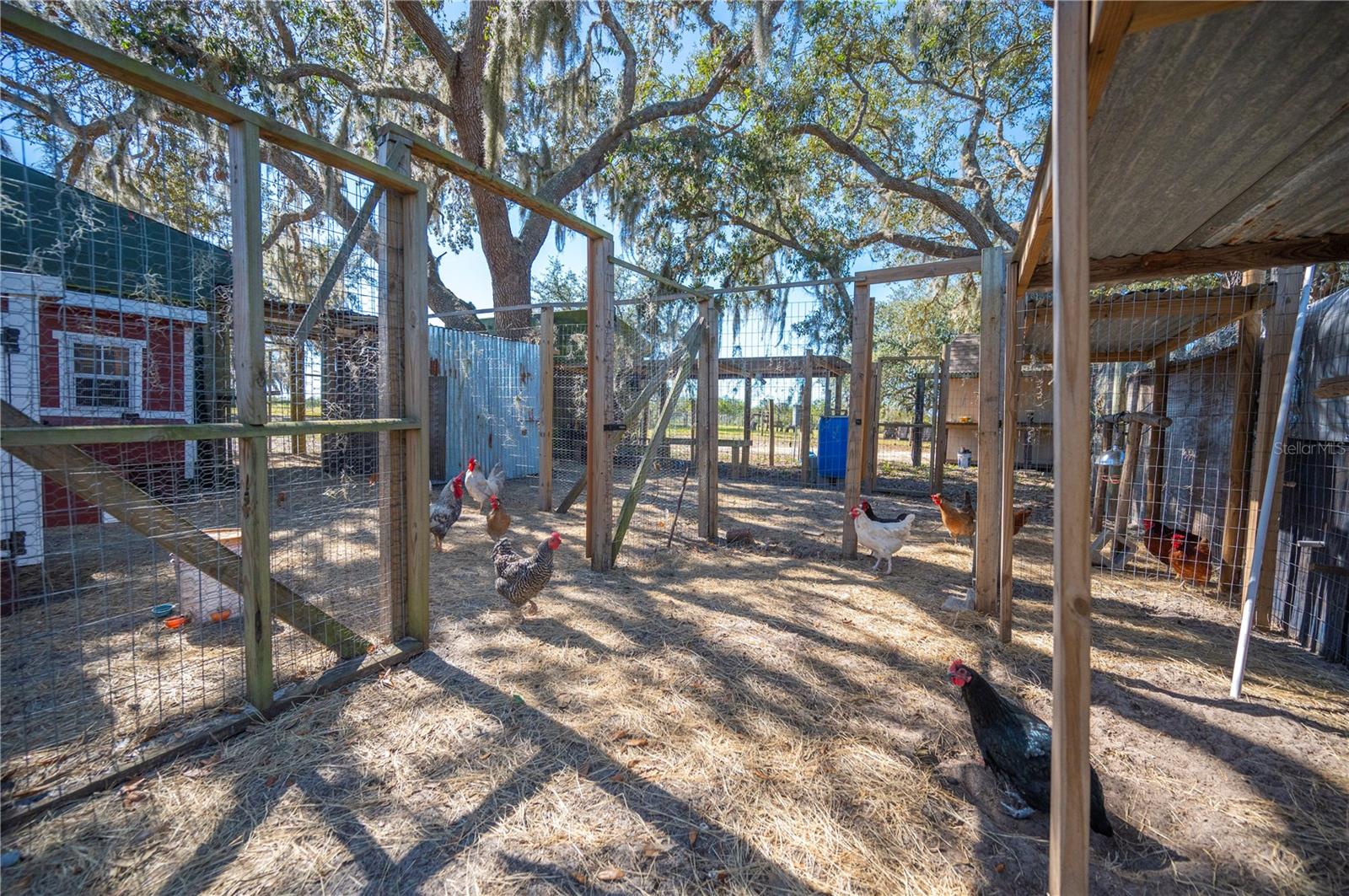 4900 J JACKSON RD, FORT MEADE, FL, 33841
