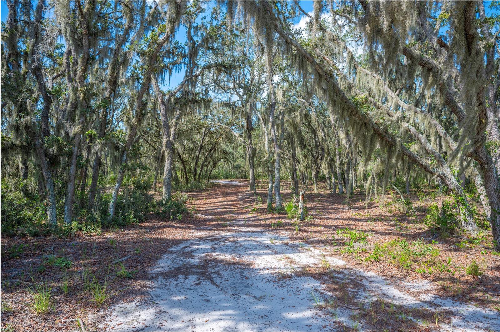 4900 J JACKSON RD, FORT MEADE, FL, 33841