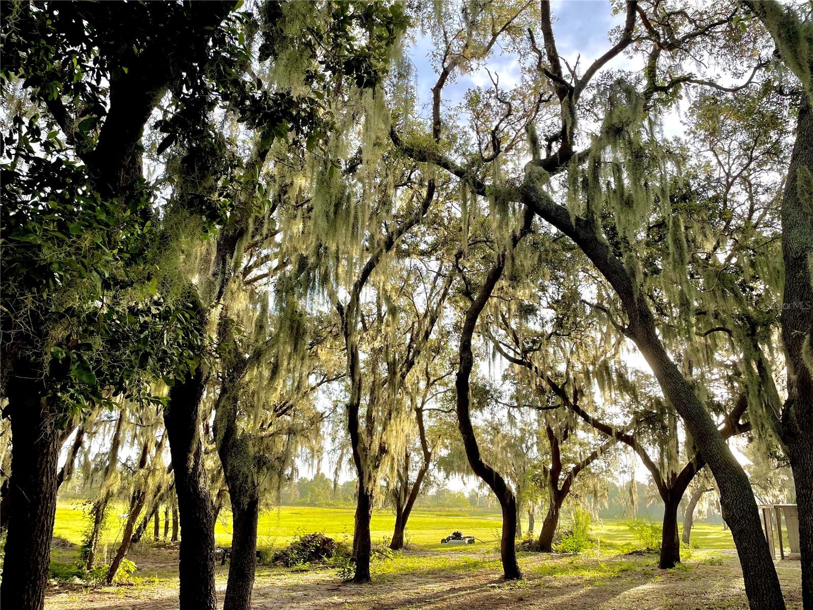 4900 J JACKSON RD, FORT MEADE, FL, 33841