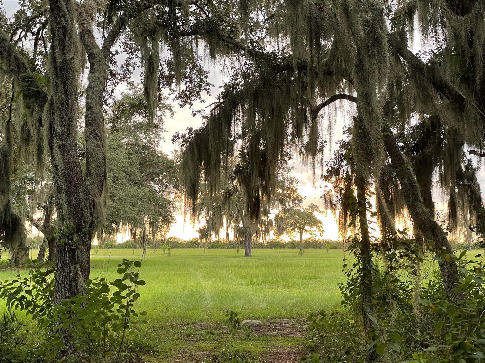 4900 J JACKSON RD, FORT MEADE, FL, 33841