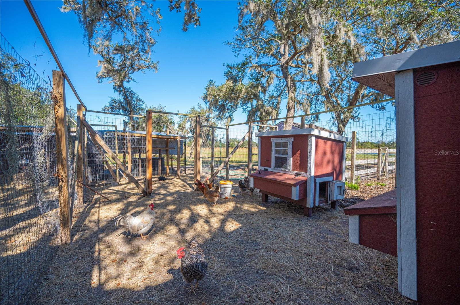 4900 J JACKSON RD, FORT MEADE, FL, 33841