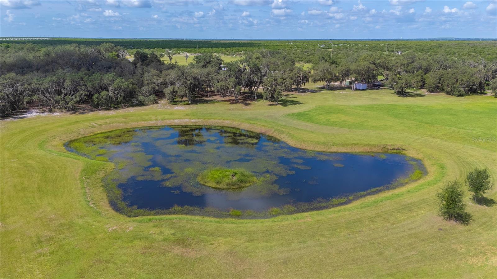 4900 J JACKSON RD, FORT MEADE, FL, 33841