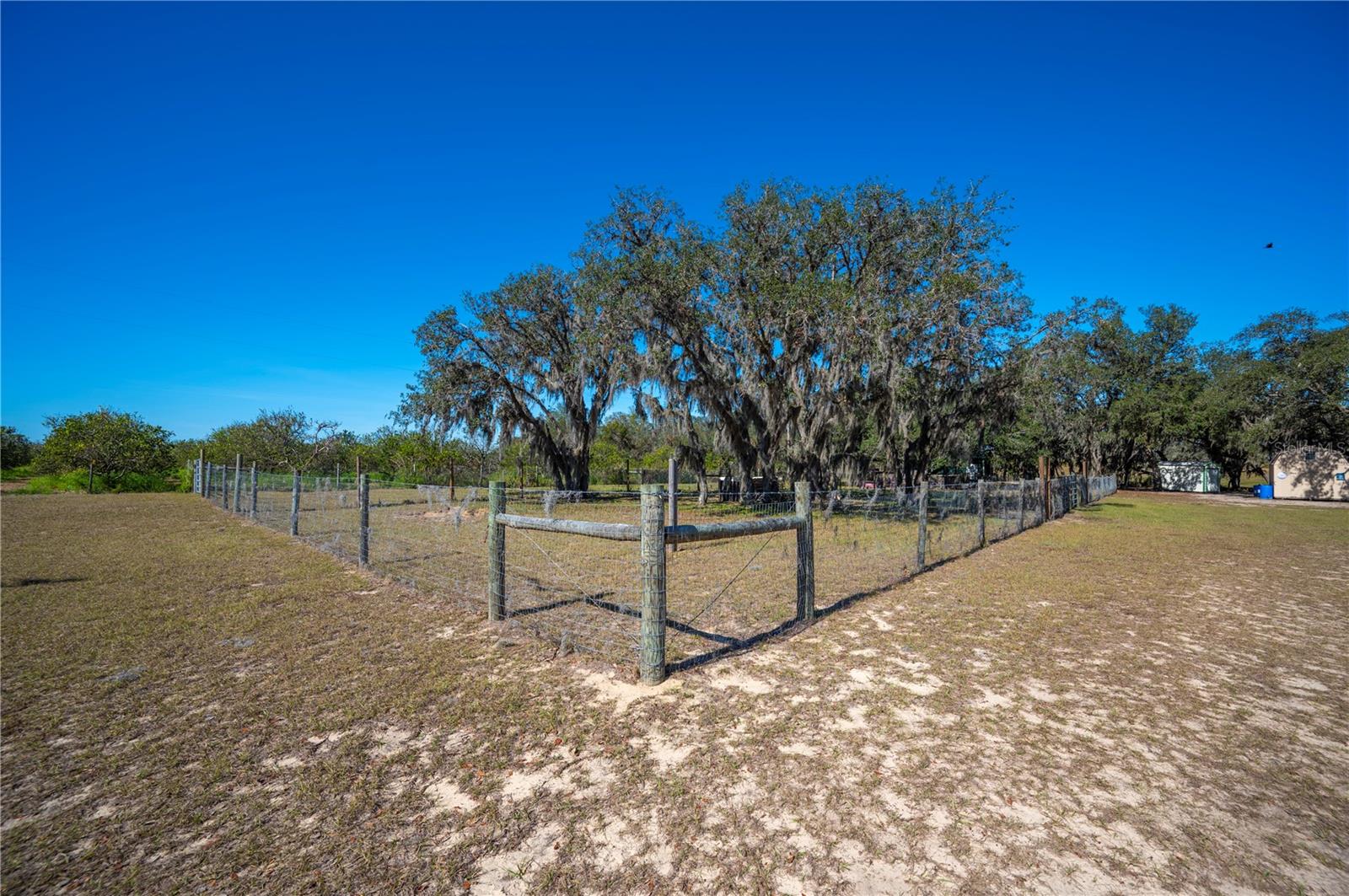 4900 J JACKSON RD, FORT MEADE, FL, 33841