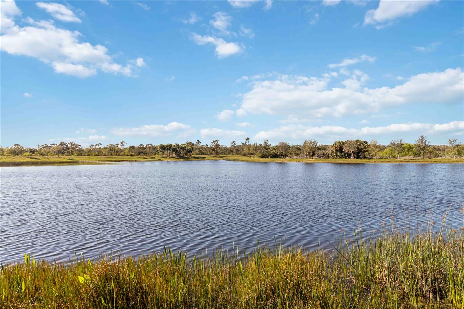 10797 TARFLOWER DR #202, VENICE, FL, 34293