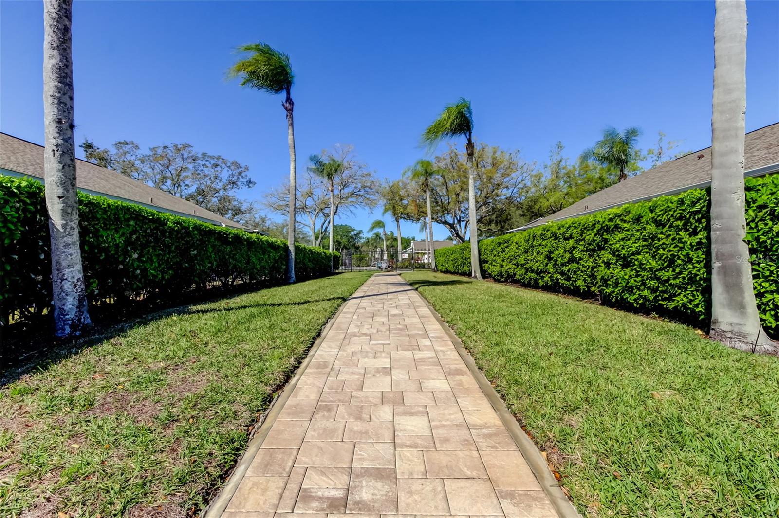4702 CORSAGE DR, LUTZ, FL, 33558