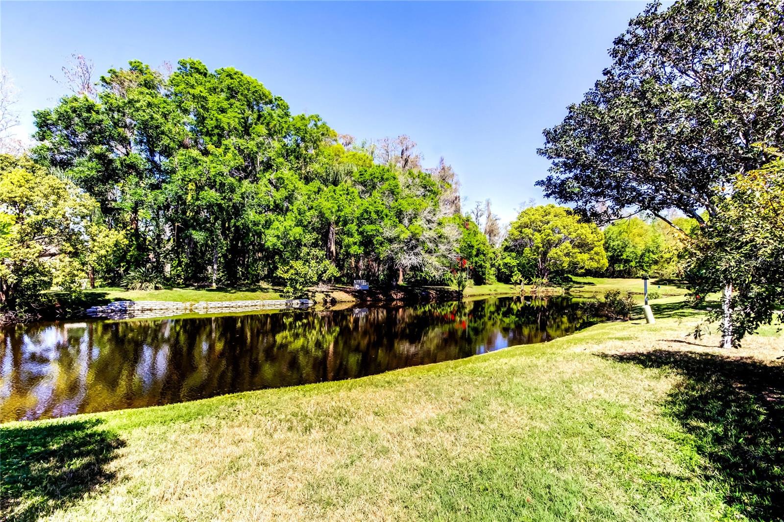 9925 WHITWORTH CT, NEW PORT RICHEY, FL, 34655