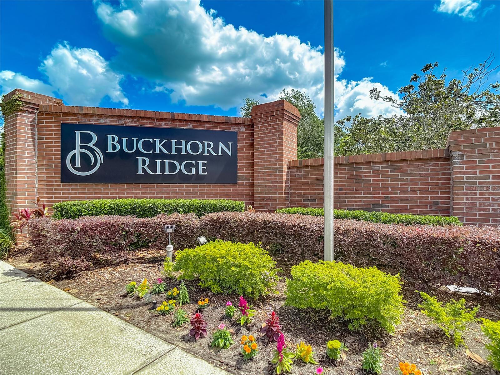 4426 BRANDON RIDGE DR, VALRICO, FL, 33594