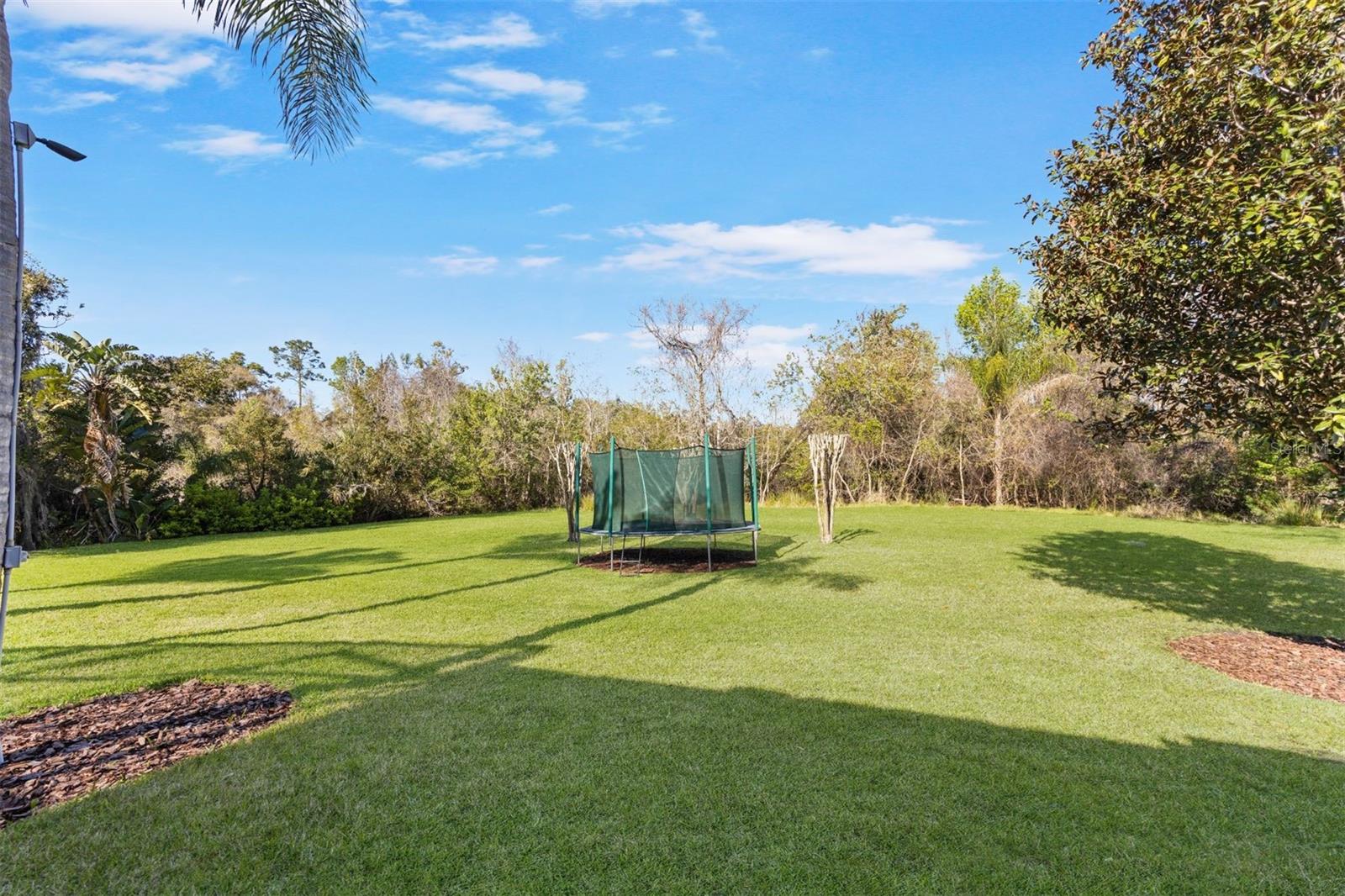 743 MILLS ESTATE PL, CHULUOTA, FL, 32766