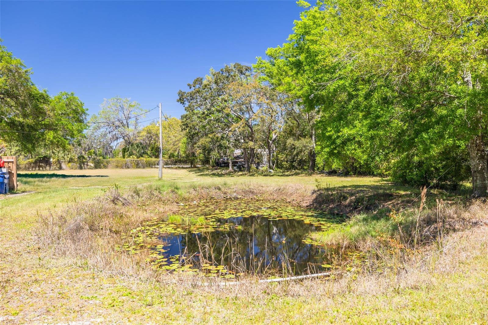 11434 MINNIEOLA DR, NEW PORT RICHEY, FL, 34654
