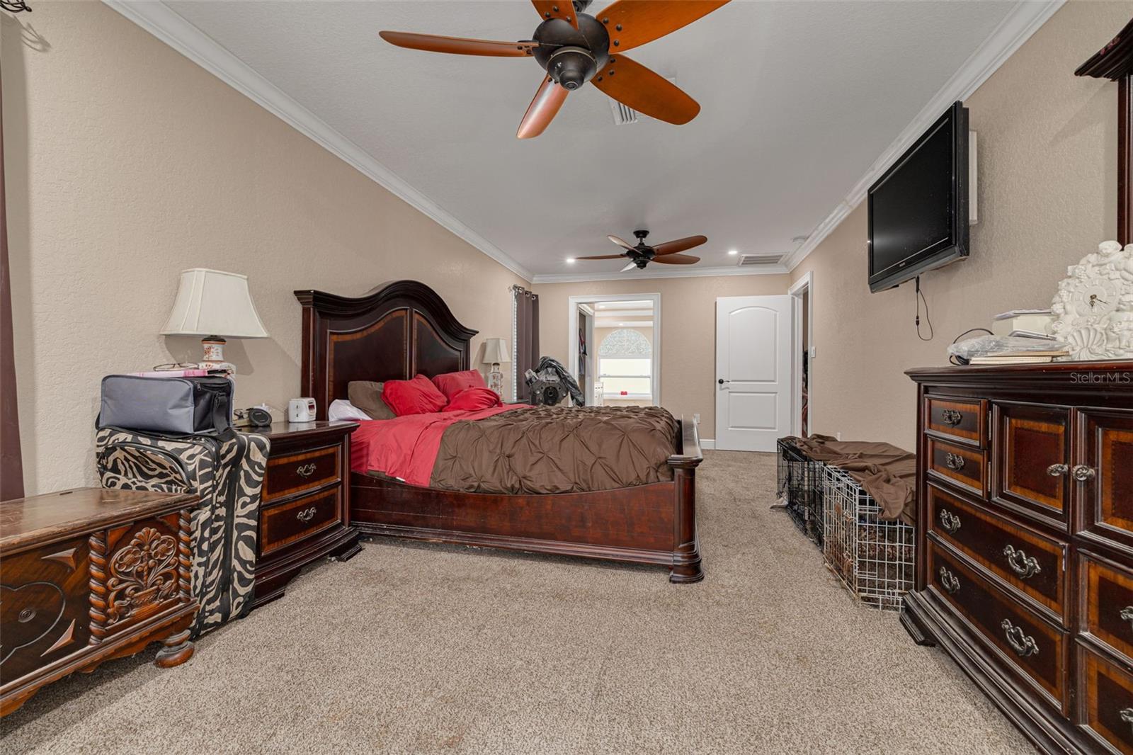 11434 MINNIEOLA DR, NEW PORT RICHEY, FL, 34654