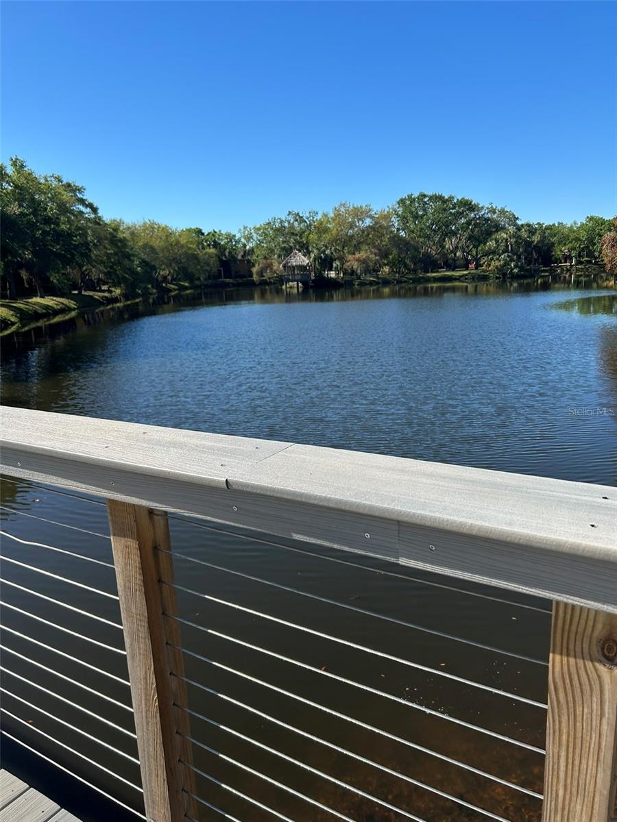 5553 BAYWATER DR, TAMPA, FL, 33615