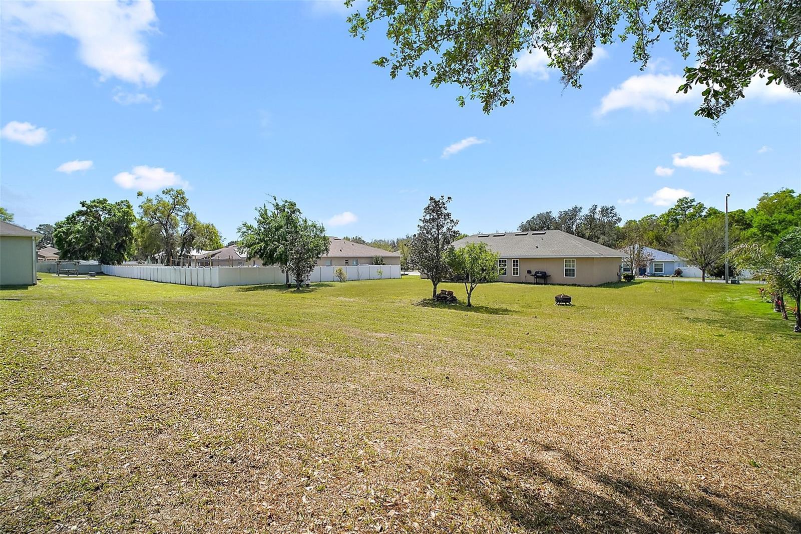 328 WOODLAND TRL, LADY LAKE, FL, 32159