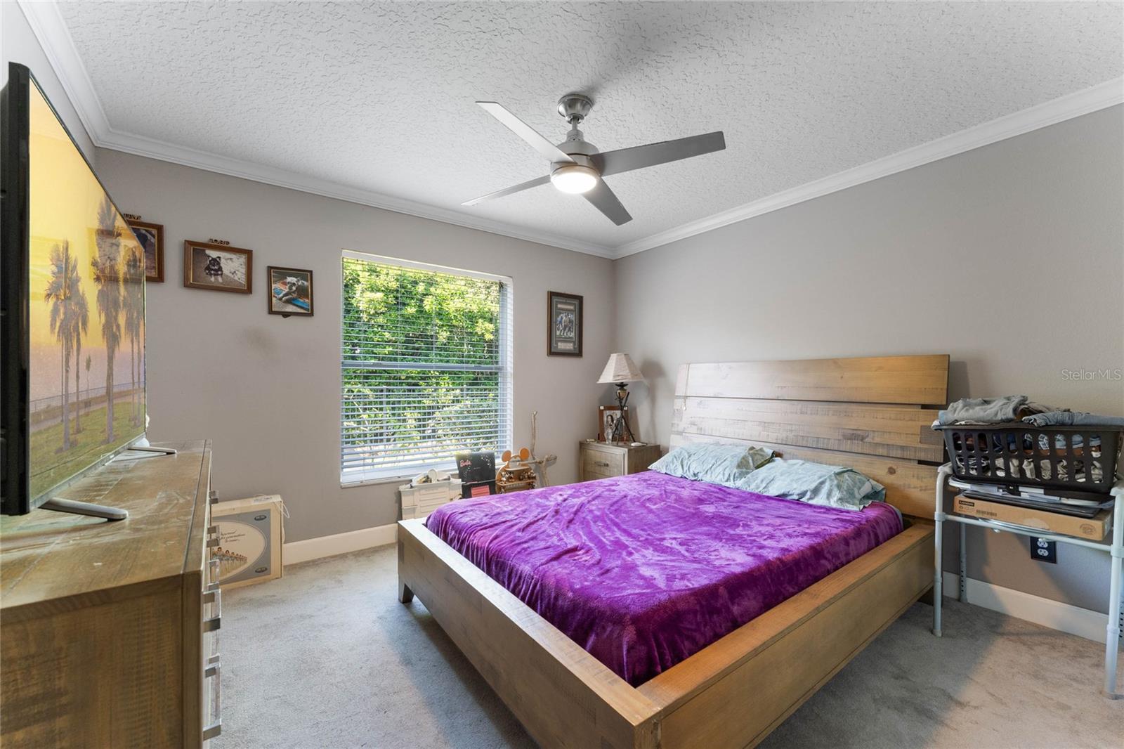 8611 DOVER OAKS CT, ORLANDO, FL, 32836