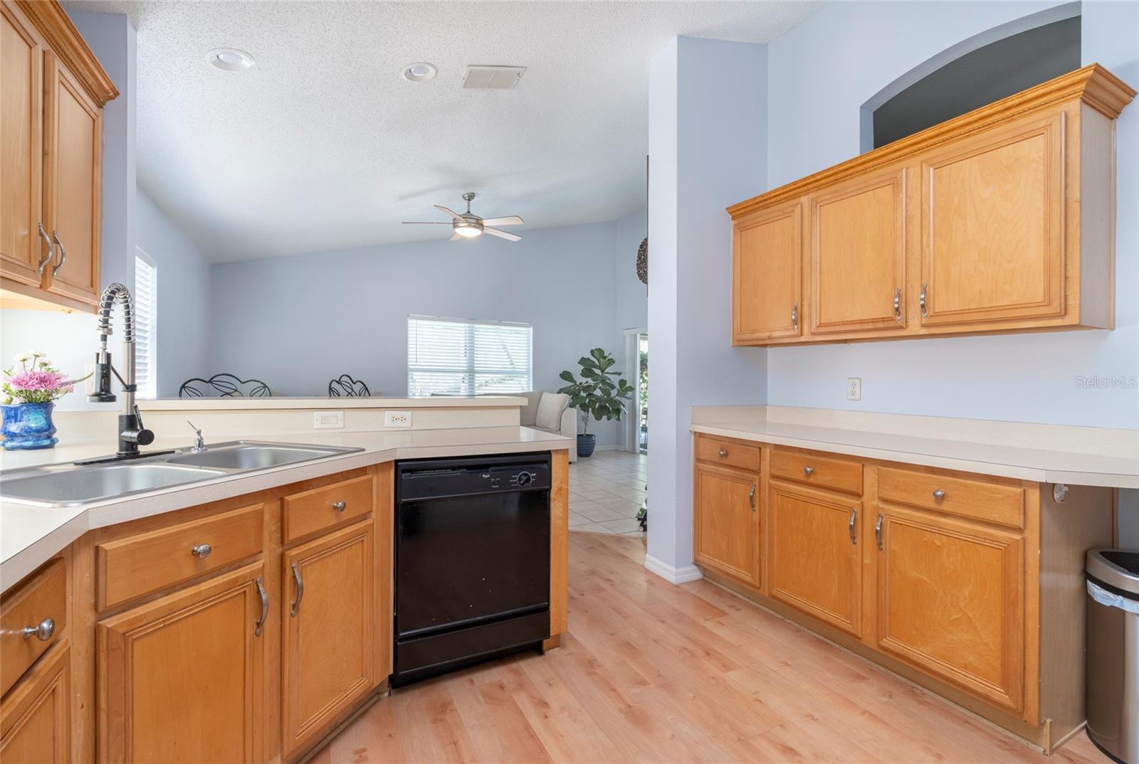 1186 SINGLETON CIR, GROVELAND, FL, 34736