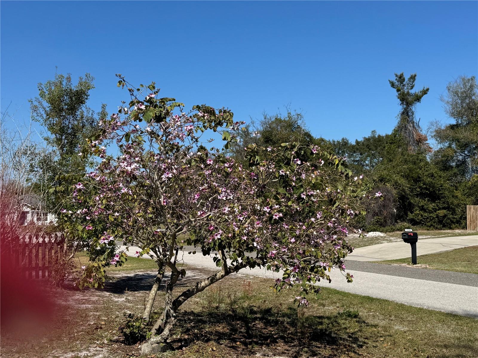 1152 MCCORMICK DR, DELTONA, FL, 32725