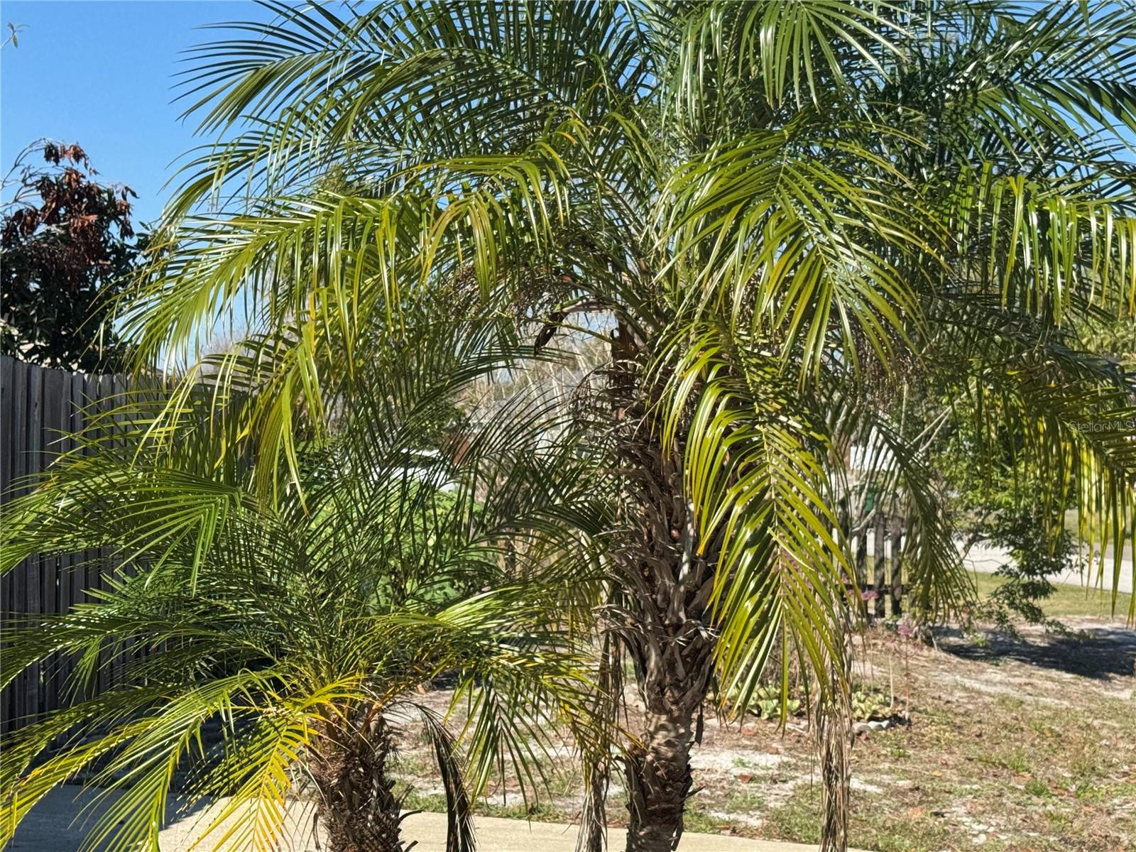 1152 MCCORMICK DR, DELTONA, FL, 32725
