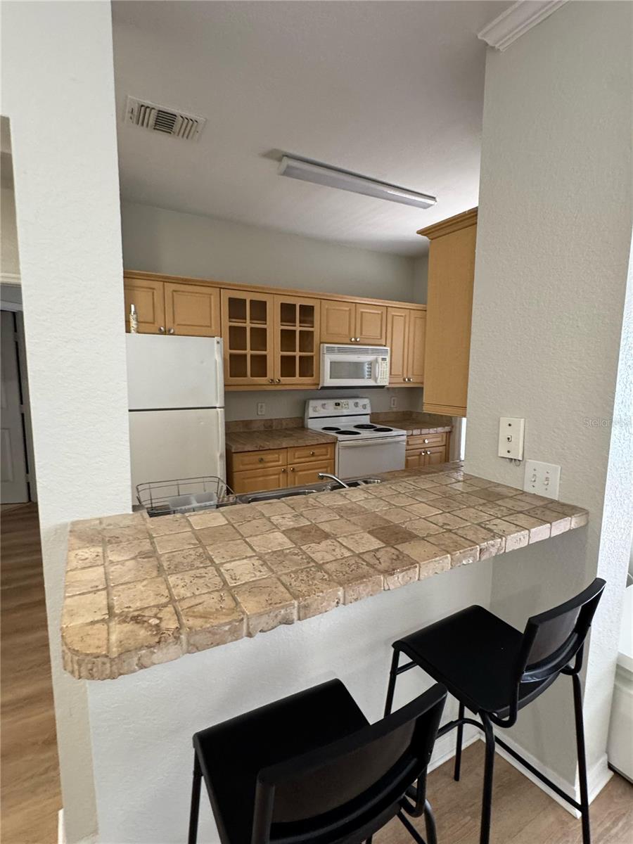 3713 CONROY RD #1913, ORLANDO, FL, 32839