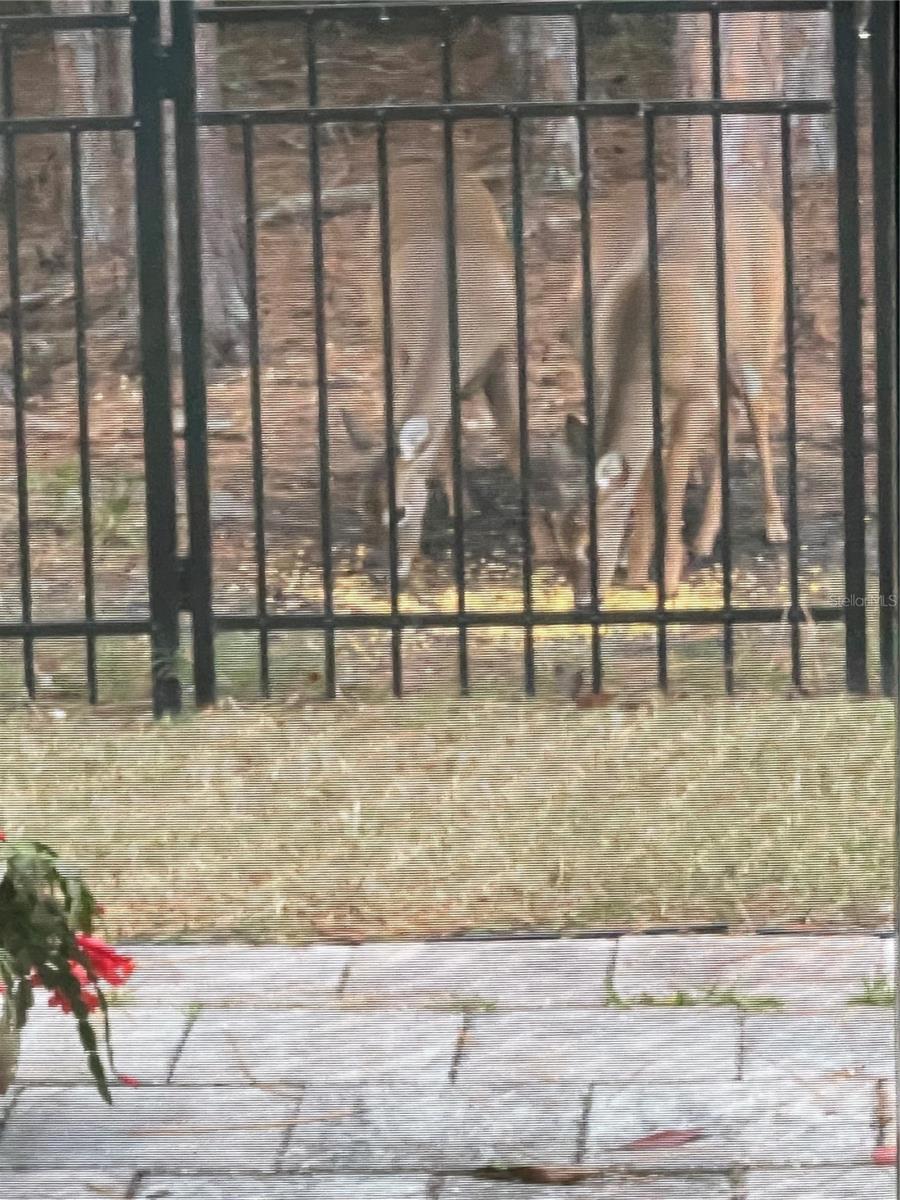 45 LOB WEDGE LN, BUNNELL, FL, 32110