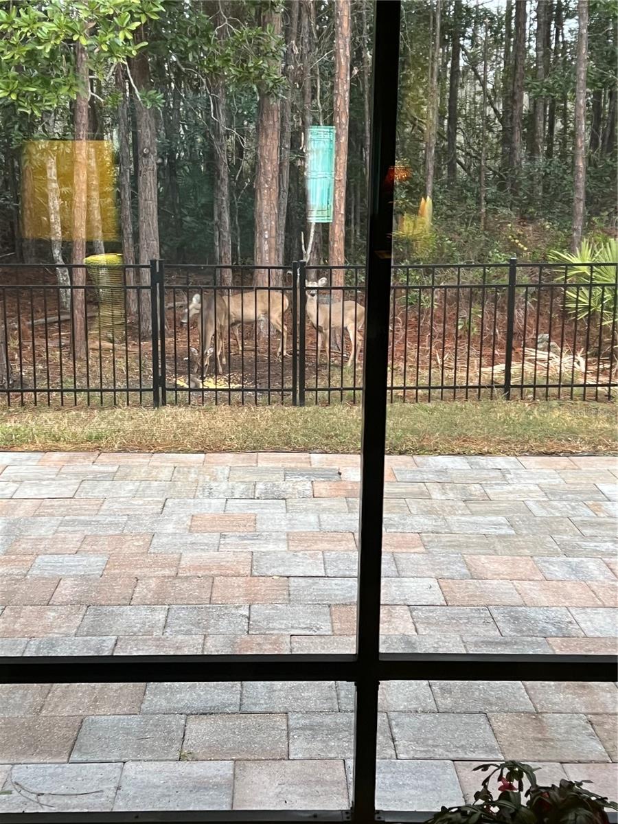 45 LOB WEDGE LN, BUNNELL, FL, 32110