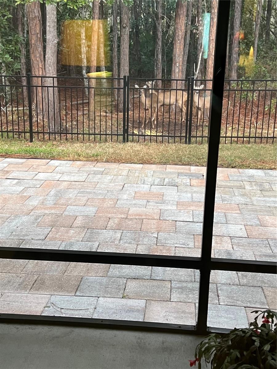 45 LOB WEDGE LN, BUNNELL, FL, 32110