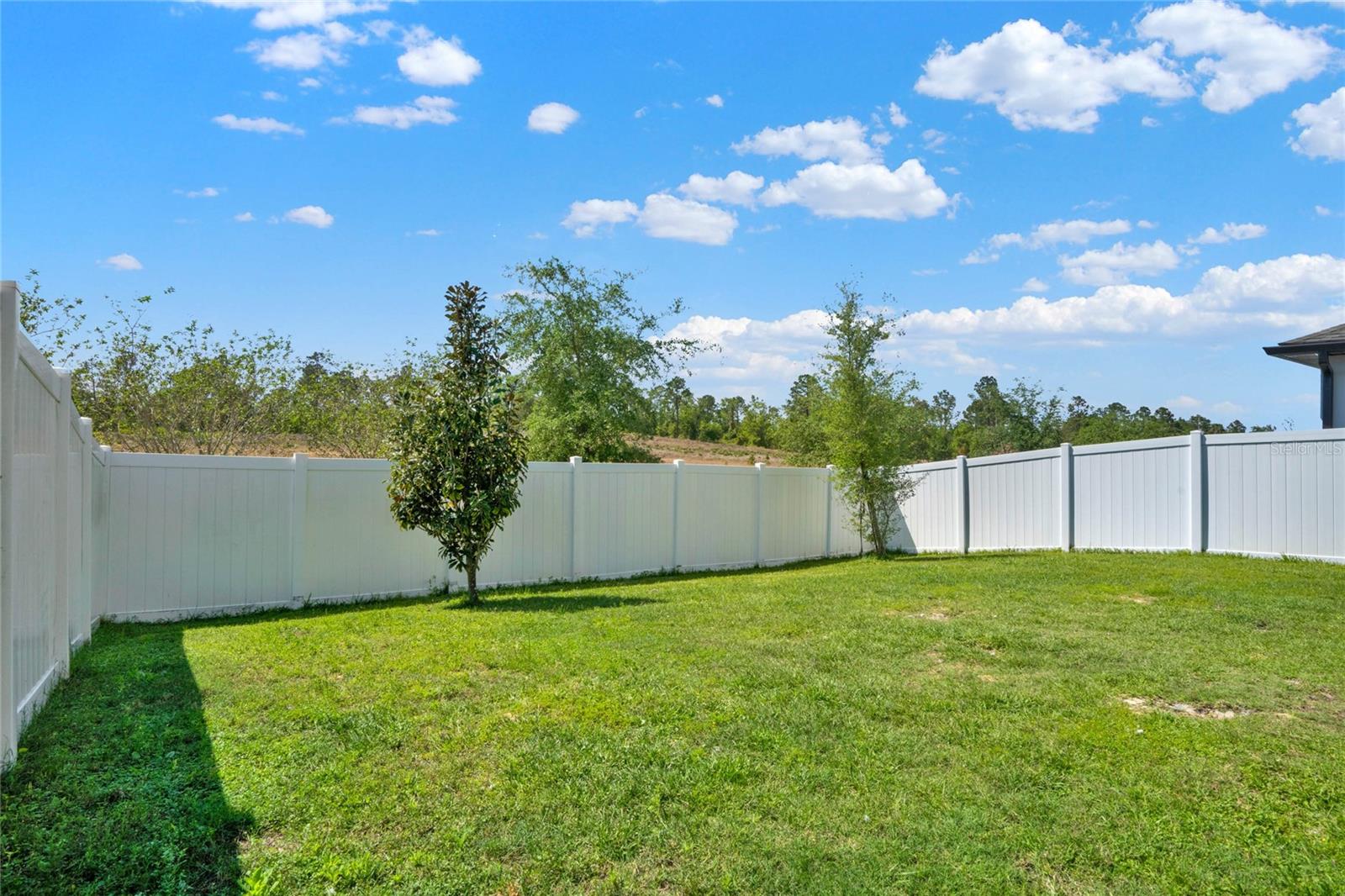 2293 MYSTIC MAZE LN, MINNEOLA, FL, 34715
