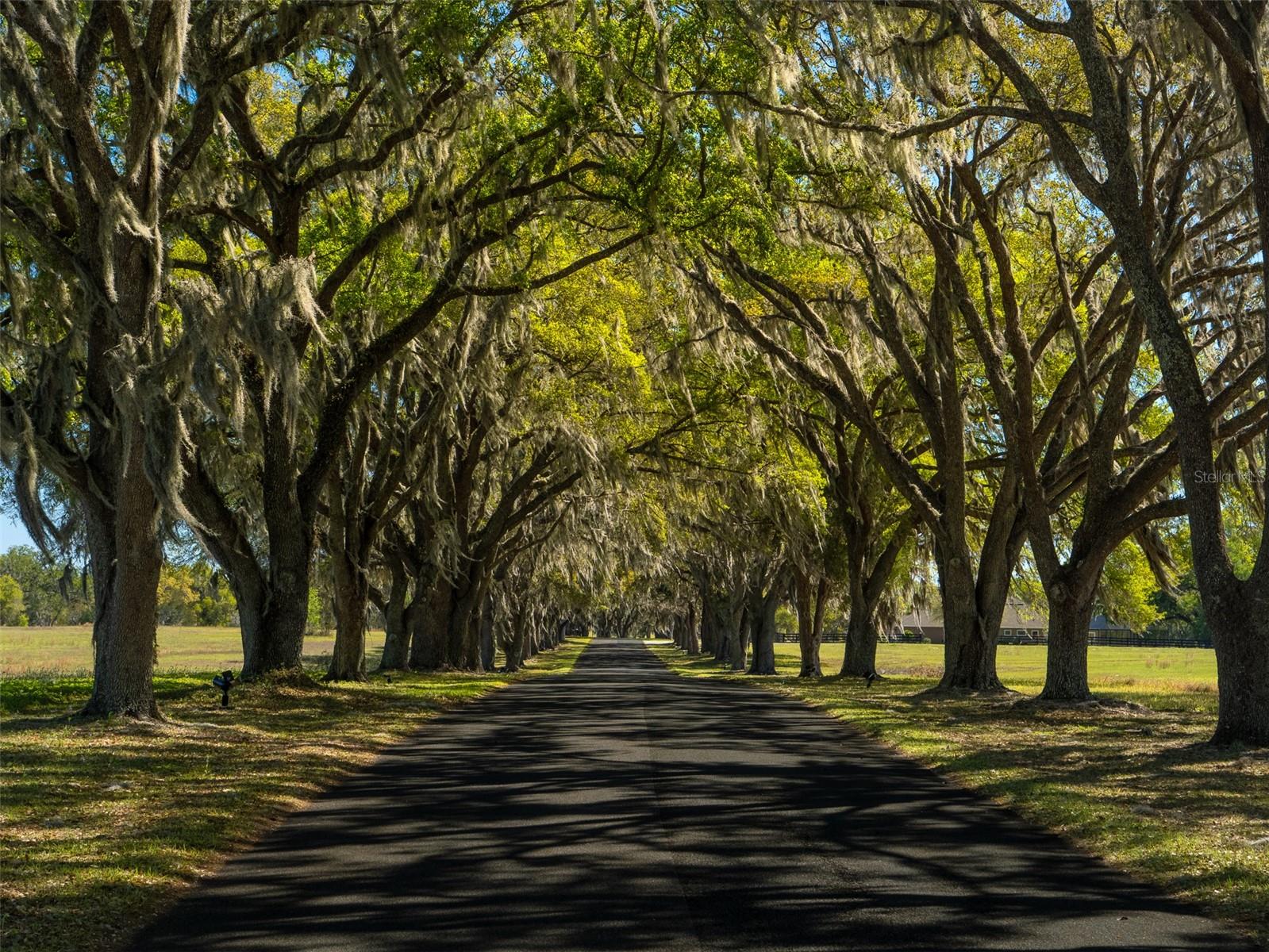 TBD SE 22ND AVENUE RD, OCALA, FL, 34480
