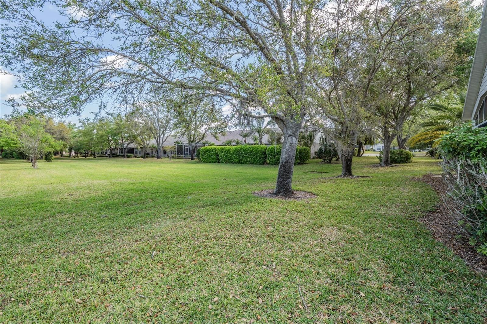 11545 WEAVER PARK CT, TRINITY, FL, 34655