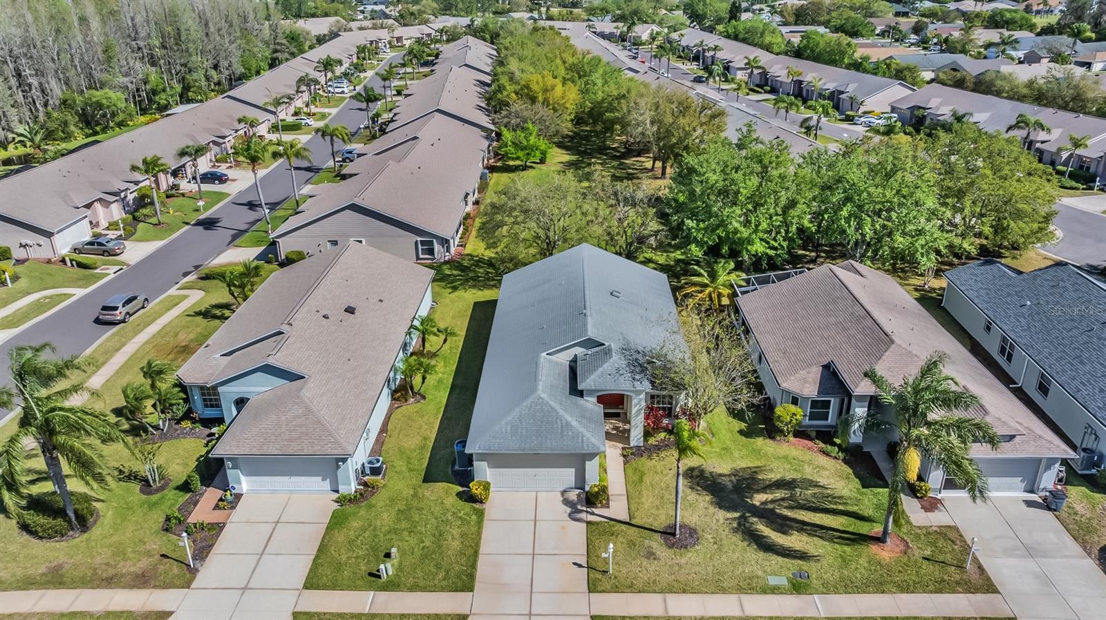 11545 WEAVER PARK CT, TRINITY, FL, 34655