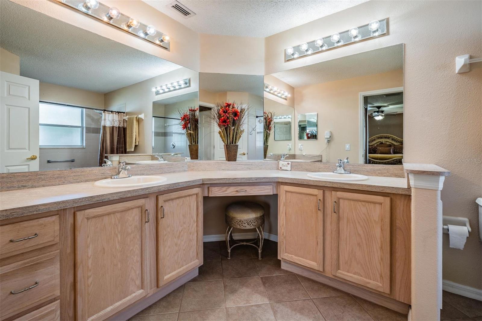 11545 WEAVER PARK CT, TRINITY, FL, 34655