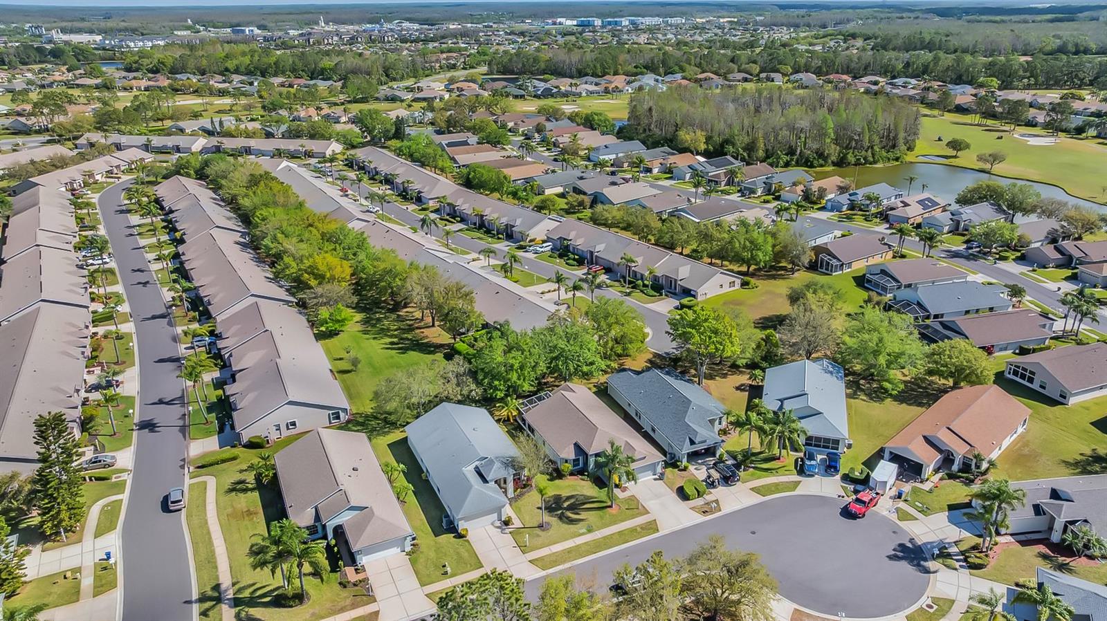 11545 WEAVER PARK CT, TRINITY, FL, 34655