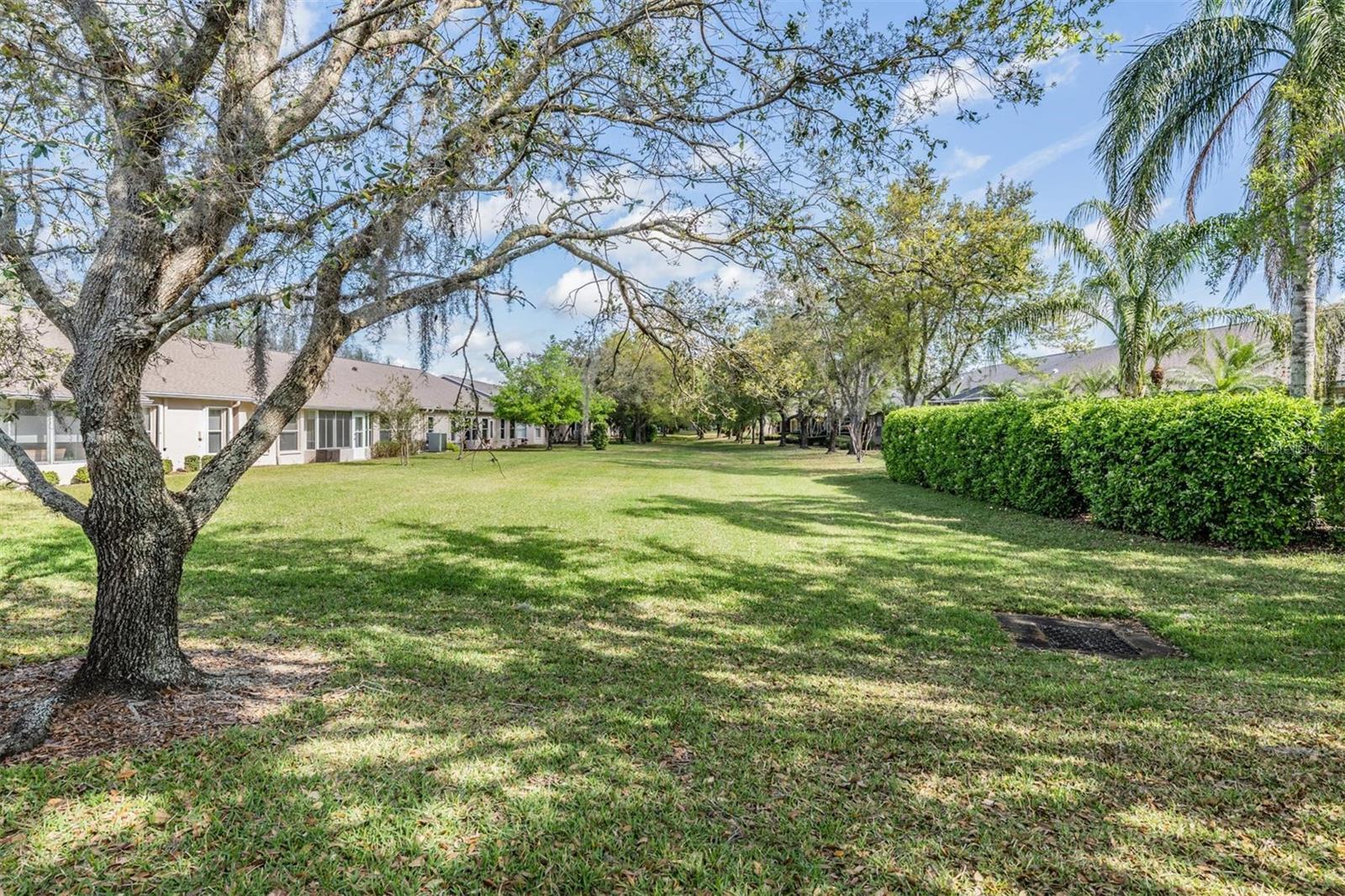 11545 WEAVER PARK CT, TRINITY, FL, 34655